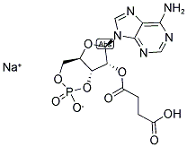 2'-O-MONOSUCCINYLADENOSINE-3',5'-CYCLIC MONOPHOSPHATE SODIUM SALT|