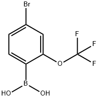 4-Bromo-2-(trifluoromethoxy)phenylboronic acid|4-溴-2-三氟甲氧基苯硼酸