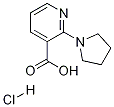 3-Pyridinecarboxylic acid, 2-(1-pyrrolidinyl)-, hydrochloride,1052549-87-7,结构式