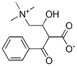 benzoylcarnitine Structure