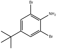 2,6-Dibromo-4-tert-butylaniline
