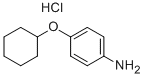 4-CYCLOHEXYLOXY-PHENYLAMINE HYDROCHLORIDE|4-环己基醚苯胺盐酸盐