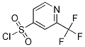 2-TRIFLUOROMETHYL-PYRIDINE-4-SULFONYL CHLORIDE Struktur