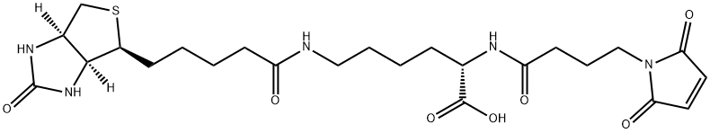 MALEIMIDOBUTYRYLBIOCYTIN 化学構造式