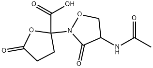 lactivicin Structure