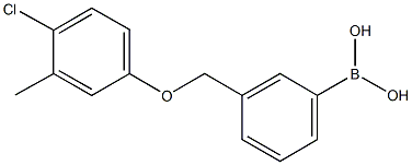 1072951-91-7 3-[(4-Chloro-3-methylphenoxy)methyl]phenylboronic acid