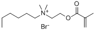 N,N-DIMETHYL-N-(1-HEXYL)-N-(2-[METHACRYLOYL]ETHYL)AMMONIUM BROMIDE Struktur