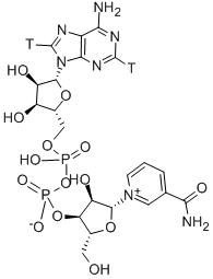 니코티나미드아데닌디누클레오타이드,[ADENINE-2,8-3H]