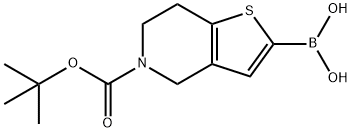 5-(tert-butoxycarbonyl)-3a,4,5,6,7,7a-hexahydrothieno[3,2-c]pyridin-2-ylboronic acid 化学構造式