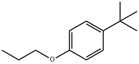 1-TERT-BUTYL-4-PROPOXYBENZENE Structure