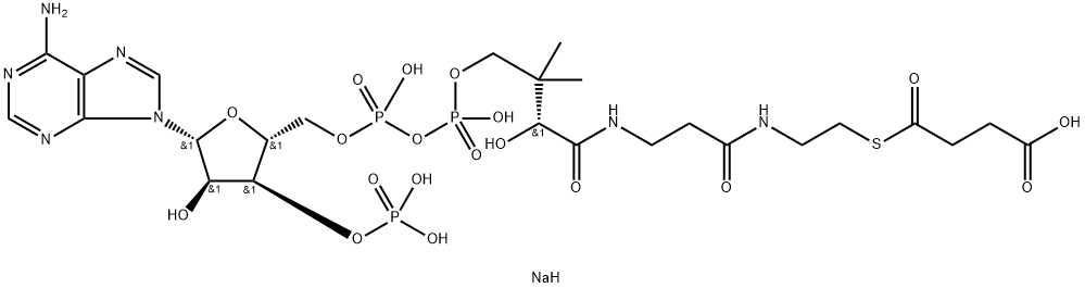 琥珀酰辅酶A图片