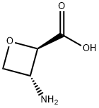 (2R, 3R)-3-AMINO-2-OXETANECARBOXYLIC ACID Struktur