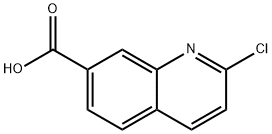 2-氯喹啉-7-羧酸, 1092287-40-5, 结构式