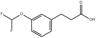 3-[3-(二氟甲氧基)苯基]丙酸 结构式