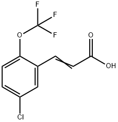 5-Chloro-2-(trifluoromethoxy)cinnamicacid|(E)-3-(5-氯-2-(三氟甲氧基)苯基)丙烯酸