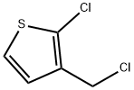 2-Chloro-3-chloromethylthiophene|2-氯-3-氯甲基噻吩