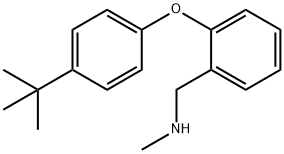 1-(2-(4-(叔丁基)苯氧基)苯基)-N-甲基甲胺 结构式