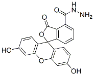 フルオレセインヒドラジド 化学構造式