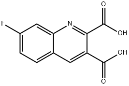 7-FLUOROQUINOLINE-2,3-DICARBOXYLIC ACID Structure