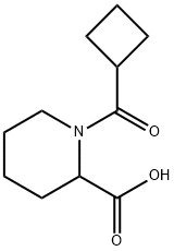 1-(Cyclobutylcarbonyl)-2-piperidinecarboxylic acid 化学構造式