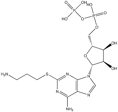 2-((3-aminopropyl)thio)adenosine 5'-diphosphate 化学構造式