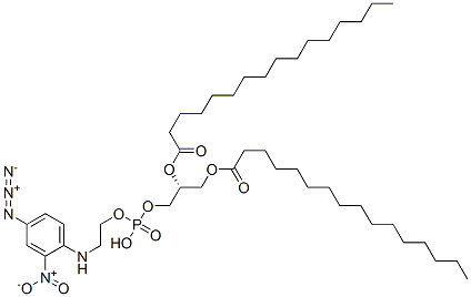 1,2-dipalmitoyl-sn-glycerol 3-((((4-azido-2-nitrophenyl)amino)ethyl)phosphate)|