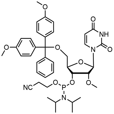 DMT-2'O-Methyl-rU Phosphoramidite