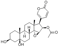 Cinobufotalin