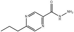 Pyrazinecarboxylic acid, 5-propyl-, hydrazide (9CI) 结构式