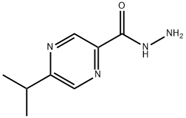 Pyrazinecarboxylic acid, 5-(1-methylethyl)-, hydrazide (9CI)|