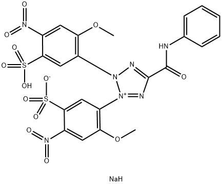 111072-31-2 5-(フェニルアミノカルボニル)-2-(2-メトキシ-4-ニトロ-5-ソジオオキシスルホニルフェニル)-3-(2-メトキシ-4-ニトロ-5-スルホナトフェニル)-2H-テトラゾール-3-イウム