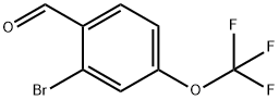 2-BROMO-4-(TRIFLUOROMETHOXY)BENZALDEHYDE|2-溴-4-(三氟甲氧基)苯甲醛