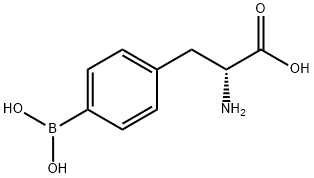 4-硼-D-苯丙氨酸 B10