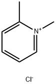 1,6-dimethylpyridine chloride 结构式