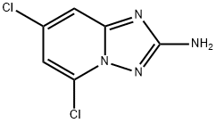 5,7-Dichloro-[1,2,4]triazolo[1,5-a]pyridin-2-aMine Struktur