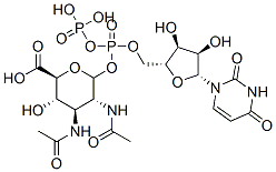 uridine 5'-diphospho-2,3-diacetamido-2,3-dideoxyglucopyranuronic acid Structure