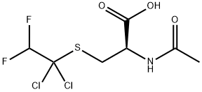 N-acetyl-S-(1,1-dichloro-2,2-difluoroethyl)-1-cysteine|