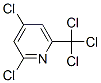 2,4-Dichloro-6-(trichloromethyl)pyridine,1129-19-7,结构式