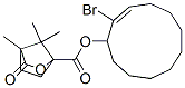 2-bromo-2-cycloundecenyl camphanate 结构式