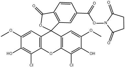 6-JOE SE