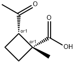 Cyclobutanecarboxylic acid, 2-acetyl-1-methyl-, cis- (9CI)|