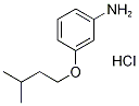 3-(Isopentyloxy)aniline hydrochloride Struktur