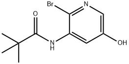 N-(2-Bromo-5-hydroxypyridin-3-yl)pivalamide|N-(2-溴-5-羟基吡啶-3-基)新戊酰胺