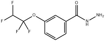 Benzhydrazide, 3-(1,1,2,2-tetrafluoroethoxy)- 化学構造式