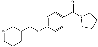 [4-(3-哌啶基甲氧基)苯基]-1-吡咯烷基甲酮 结构式