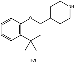 2-(tert-Butyl)phenyl 4-piperidinylmethyl etherhydrochloride Structure
