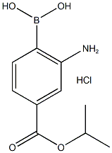 2-아미노-4-(이소프로폭시카르보닐)페닐보론산,