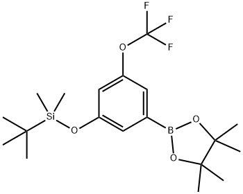 3-(t-Butyldimethysilyloxy)-5-trifluoromethoxyphenylboronic acid,pinacol ester Struktur