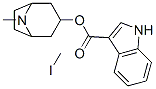 3-TROPANYL-INDOLE-3-CARBOXYLATE METHIODIDE 化学構造式