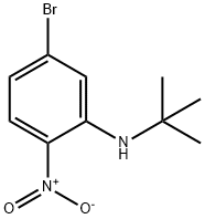 5-溴-N-叔丁基-2-硝基苯胺,1163707-73-0,结构式